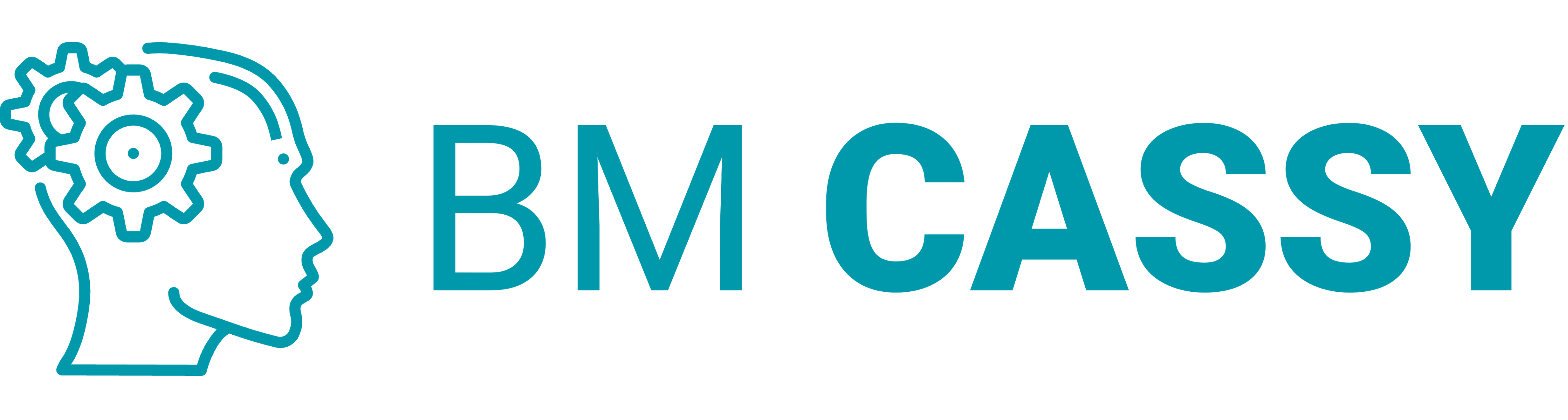 BM Cassy Logo